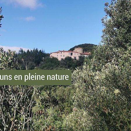Pyrenees Mon Amour Felluns Exterior foto